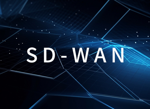 sd-wan是什么设备：购买sd-wan要多少钱？